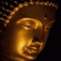 abhay lal (@abhaylal2) 's Twitter Profile
