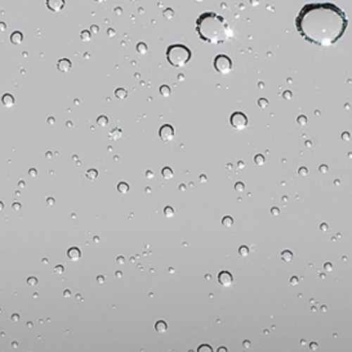 kish8772's profile picture. 