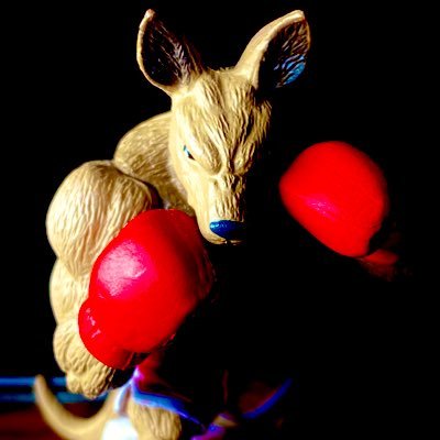 〜🦘〜さんのプロフィール画像
