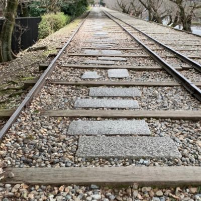 fe_excel's profile picture. excel関数勉強中。VBAは今のとこさっぱりです。