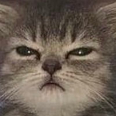 Bmwangio's profile picture. 