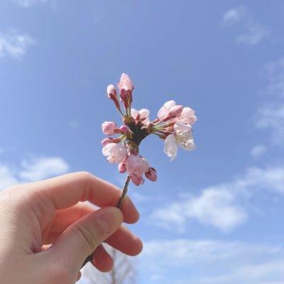 じもさんのプロフィール画像