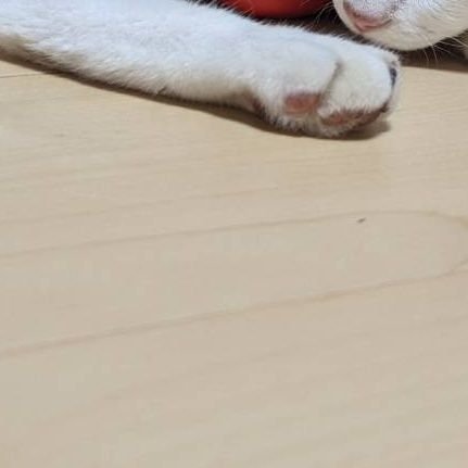 移動しましたさんのプロフィール画像