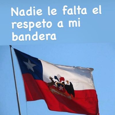Profesora, pintora 👩‍🎨🎨 ♥️mi Patria 🇨🇱con su historia y tradiciones! 🎶🥟🍯🍷🏜🗿🏖⚓️🗻🍇por un Chile 🇨🇱 mejor!