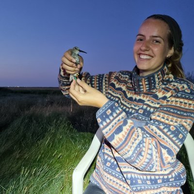 PhD Candidate @NIOZnieuws & @WECatWUR | Bird & Movement Ecology | Shorebird research