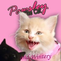 Pawsley & Wintery 🐈🐈‍⬛🐾(@PawsleyTheCat) 's Twitter Profile Photo