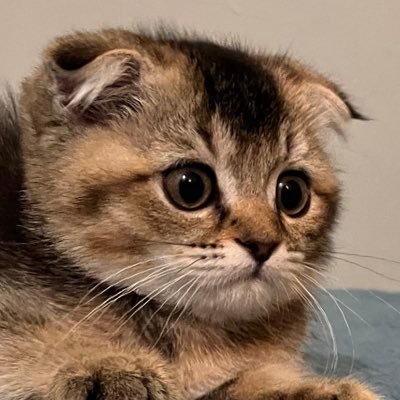 heidithehermit's profile picture. new jess