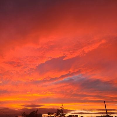 parkcinep's profile picture. 천천히 꾸준하게 인생에 투자하는 법을 배우고자 합니다. 혼잣말은 스스로에게 하는 다짐입니다. 영화를 사랑하는 투자자.