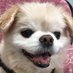 RQ-LABO (@rqlabo) Twitter profile photo RQ-LABO (@rqlabo) Twitter profile photo