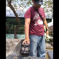 Sinauwaras (@dodo_dudu_kw) 's Twitter Profile Photo