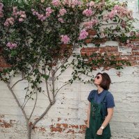 Adrienne Mortimer (@adriennenotrich) 's Twitter Profile