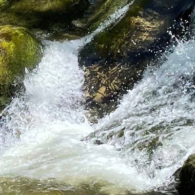 ValVal51596137's profile picture. We need to stop pulling people out of the river. We need to go upstream and find out why they’re falling in, Desmond tutu