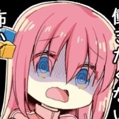 ぬこパンチさんのプロフィール画像