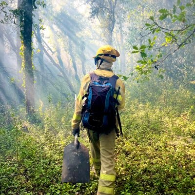 Ingeniería Forestal Univ. Lleida. Ecologia del Fuego y Gestión Forestal Sostenible. BF🚁🔥