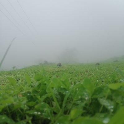 اللهم اجعل القرآن ربيع قلوبنا، ونور صدورنا، وجلاء أحزاننا، وذهاب همومنا، وشفاءً لكل من ضاقت به الدنيا وتكسّر قلبه من التعب.. يا رب اجعلنا من أهل القرآن.