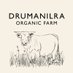Drumanilra Organic Farm (@drumanilra) Twitter profile photo Drumanilra Organic Farm (@drumanilra) Twitter profile photo