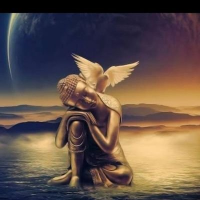 Triloch24821219's profile picture. 