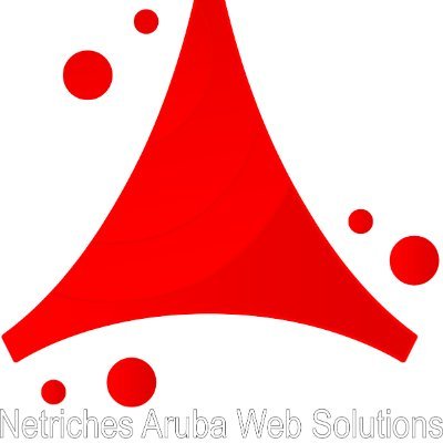 Netriches Aruba specializes in Website Design, Local SEO, and Digital Marketing Services.
