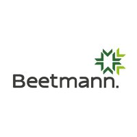 Beetmann (@beetmannmx) 's Twitter Profile