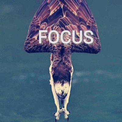 HansanMatlali's profile picture. 