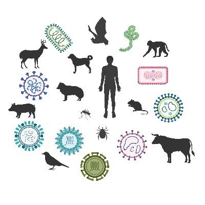 Emerging viruses + host responses = pathogenesis.  PI: @angie_rasmussen. Proud to be part of the @VIDOInterVac @usask research community.