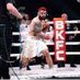 Platinum Mike Perry (@platinumperry) Twitter profile photo Platinum Mike Perry (@platinumperry) Twitter profile photo