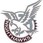 NHS Nighthawks (@soaringnhs) 's Twitter Profile