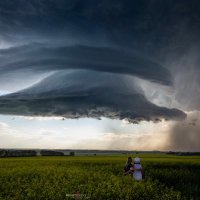 Dar Tanner (@dartanner) 's Twitter Profile Photo Dar Tanner (@dartanner) 's Twitter Profile Photo