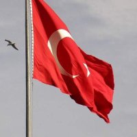 Murat KİRAZ Bjk 1903 (@muratkirazbjk) Twitter profile photo