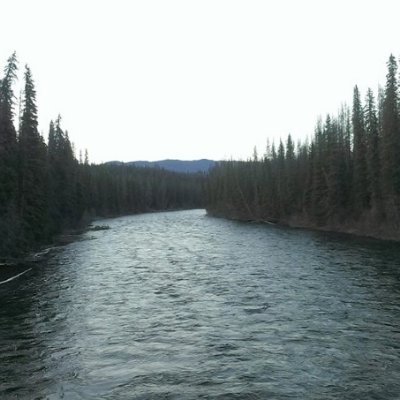 water lover, driven elsewhere by ego maniacs who wrecked twitter https://t.co/aPIMTL65XO