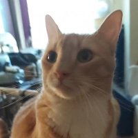 PUNkin2๐บ๐ฒ๐จ๐ฆ๐ฌ๐ง๐ฎ๐ช๐ธโฝ๐ฅ
๐๐๐๐๐ (@patreardon11) 's Twitter Profile