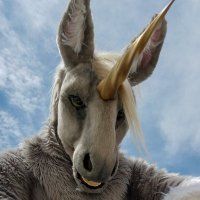 Equus Silvermane(@EquusSilvermane) 's Twitter Profile Photo