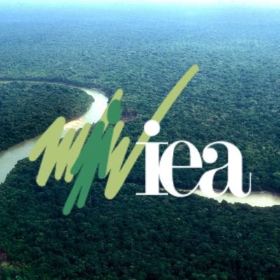 Em defesa da Amazônia, das populações tradicionais extrativistas e do uso sustentável dos recursos naturais.