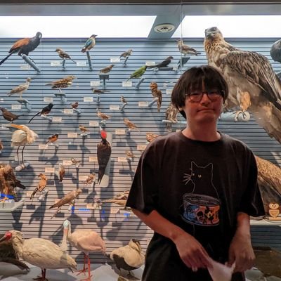 Evolutionary biologist
https://t.co/1FFEQJYKCT