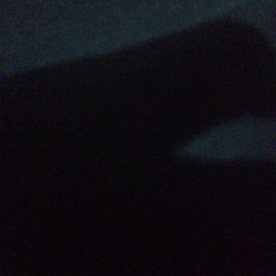 NouvellesX's profile picture. 