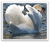 stormarni's profile picture. Dein Regionportal mit vielen Neuigkeiten,Tipps & Informationen um den Kreis Sormarn. ** FOLLOW ME I'LL FOLLOW U BACK ** UNFOLLOW ME I'LL UNFOLLOW U ** #Stormarn