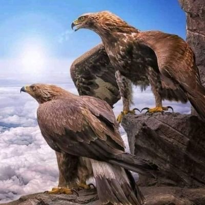 كن مع الله يكون الله معك 
يقينا كله خير