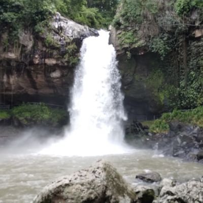 Alejand20384200's profile picture. 