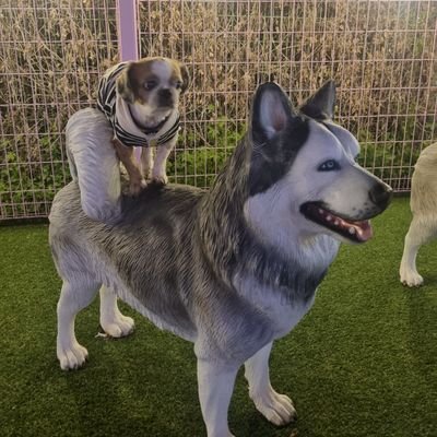 JH11187986's profile picture. 
