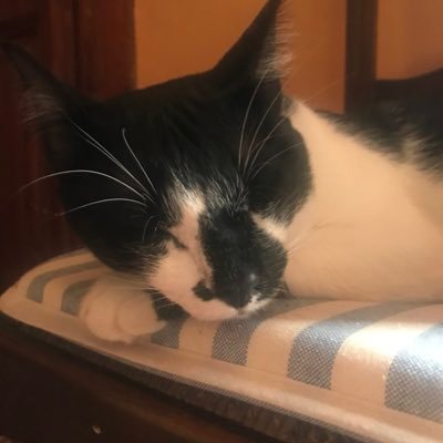 Kuda39492737's profile picture. 