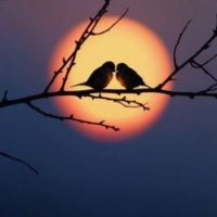 Esra Doğan (@esradoa26231538) Twitter profile photo