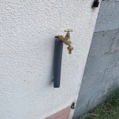 Bucckyy's profile picture. 