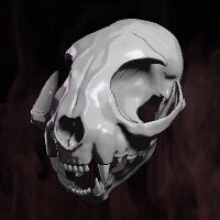 danconsole (@danconsole) 's Twitter Profile