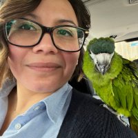 Dr Sam Stein 🦜(@sparkliferous) 's Twitter Profile Photo