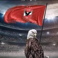 عصام جلال زايد (@egalal53) Twitter profile photo