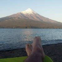 Charles 🌳 (@arachar2343) 's Twitter Profile
