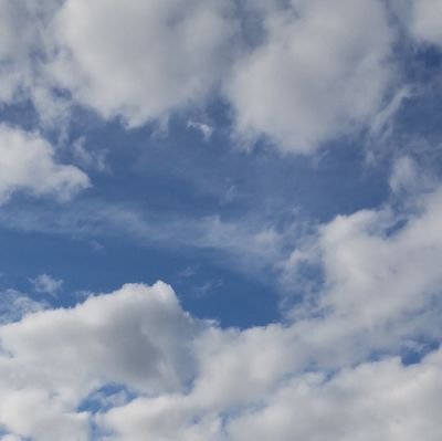 EuABBotoBtg2WdH's profile picture. 下着、美容、ゲーム中心に気兼ねなくフォローやイイネをしたくて作りました。趣味垢。平日は地味だけど、週末は可愛らしくを目指しています。最近、ジムデビューしました。