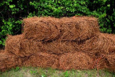 FRESH pine straw @ $3.95 per bale. FREE delivery in Dekalb/Fulton/Gwinnett counties. Installation available.
 Call (678) 395-5881 to place your order!