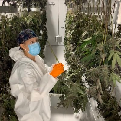 Canadian Cannabis 🇨🇦 Inspired and thankful for the community who are pushing quality & people over profit.