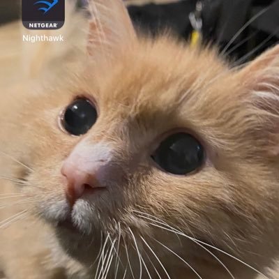 magdiel_corpuz's profile picture. 